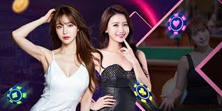 开元体育· (中国)官方网站-官方登录入口